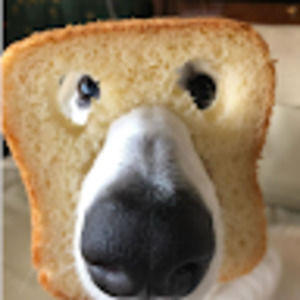 Meet your Posher, Dennis